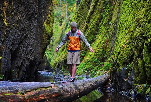 Patiently walking over a fallen log over a river.