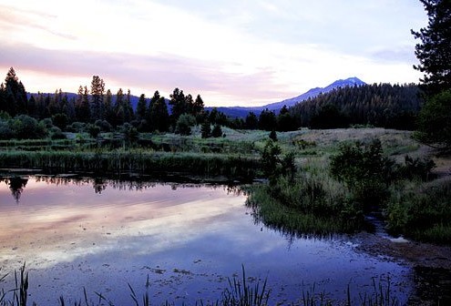 Mt. Shasta Pond Sunset