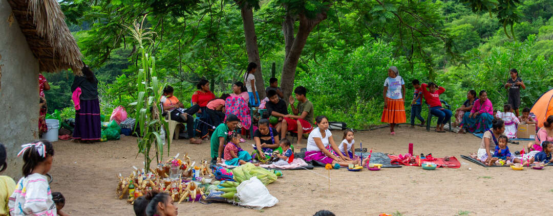 Gathering for the harvest ceremony